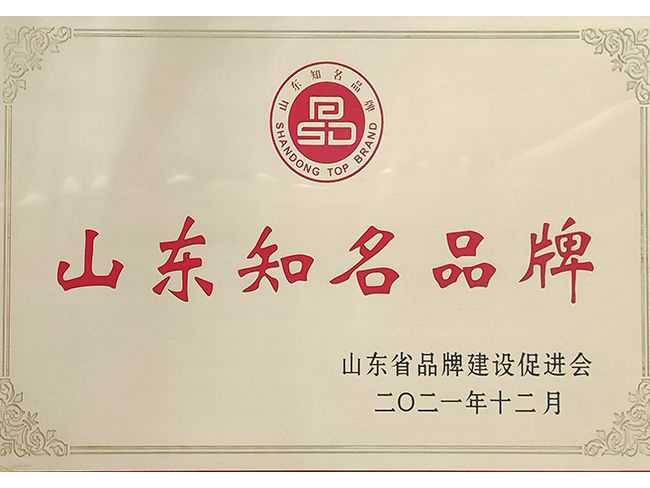 山东知名品牌