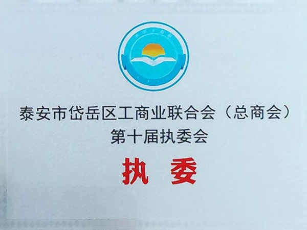 泰安市岱岳区工商业联合会（总商会）第十届执委会-执委
