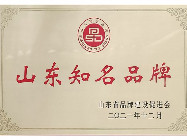 山东知名品牌